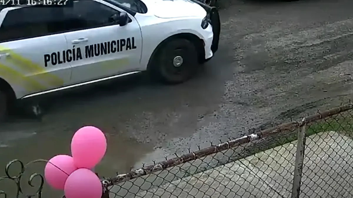 patrulla atropella a perro