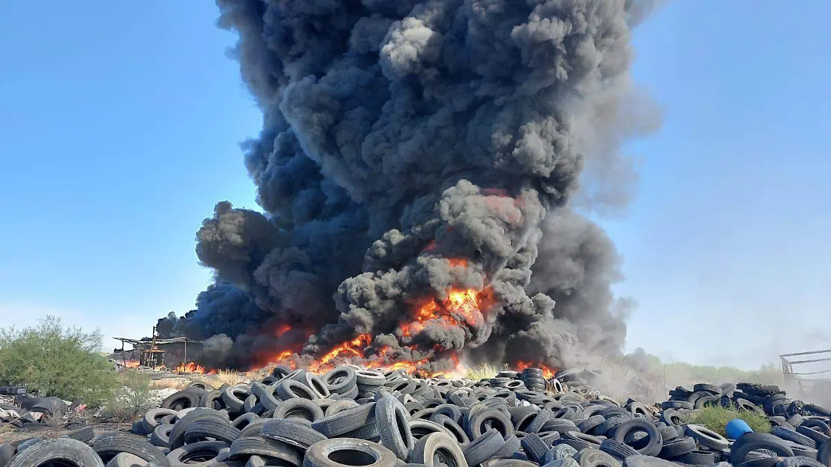 WhatsApp Image 2026-04-14 at 15.24.47