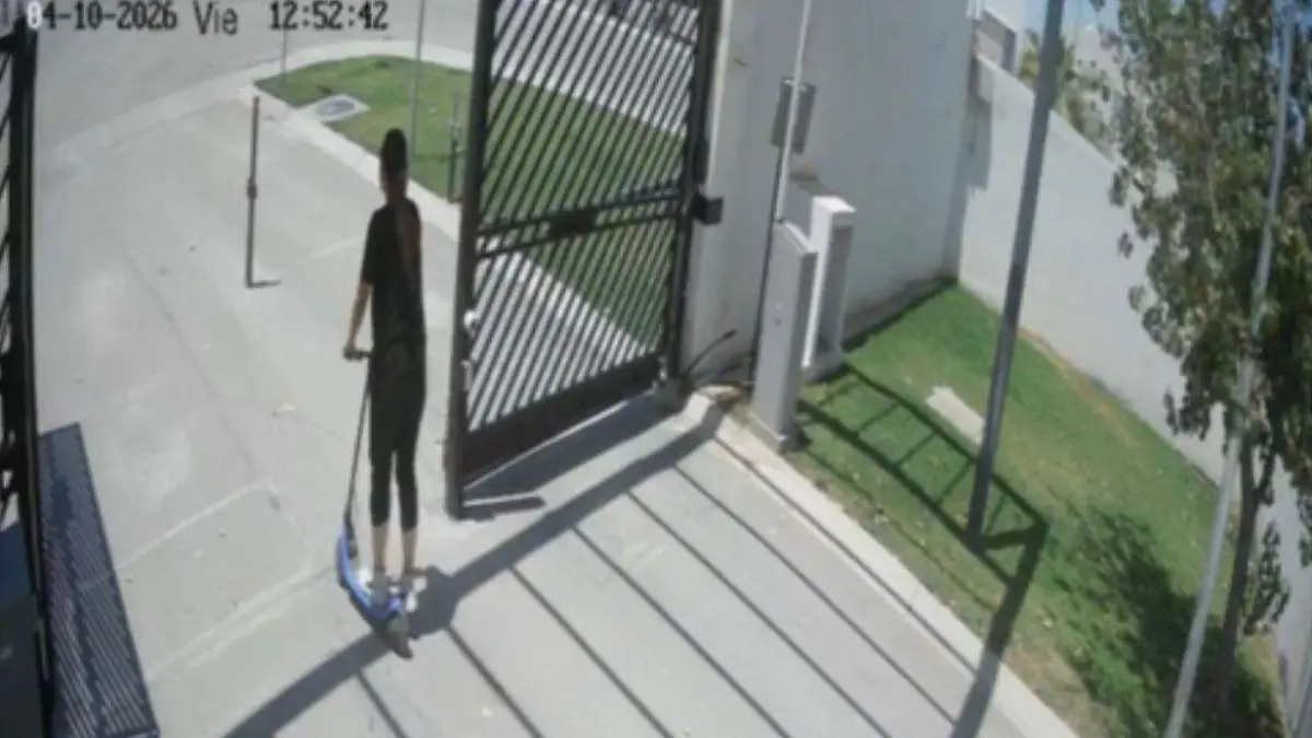 WhatsApp Image 2026-04-14 at 16.34.58