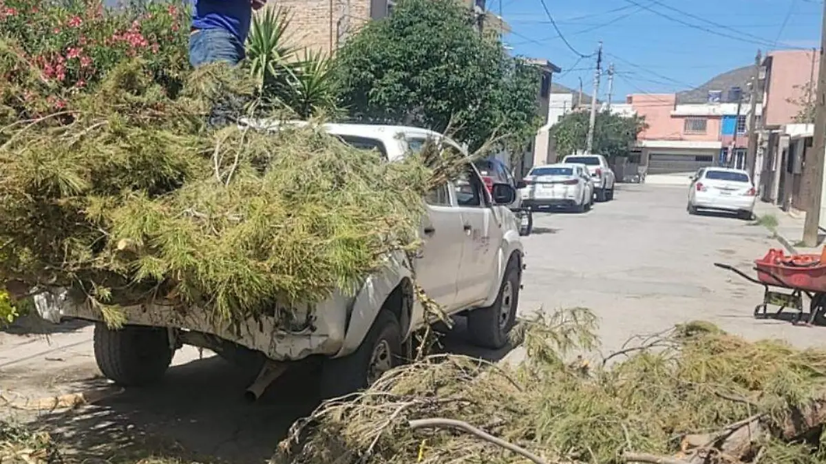 WhatsApp Image 2026-04-15 at 12.03.17