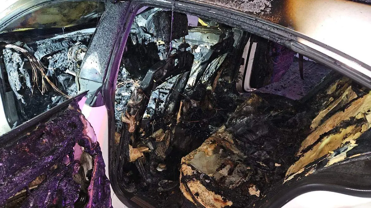 WhatsApp Image 2026-04-15 at 15.49.55