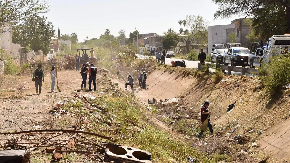 WhatsApp Image 2026-04-16 at 15.07.40