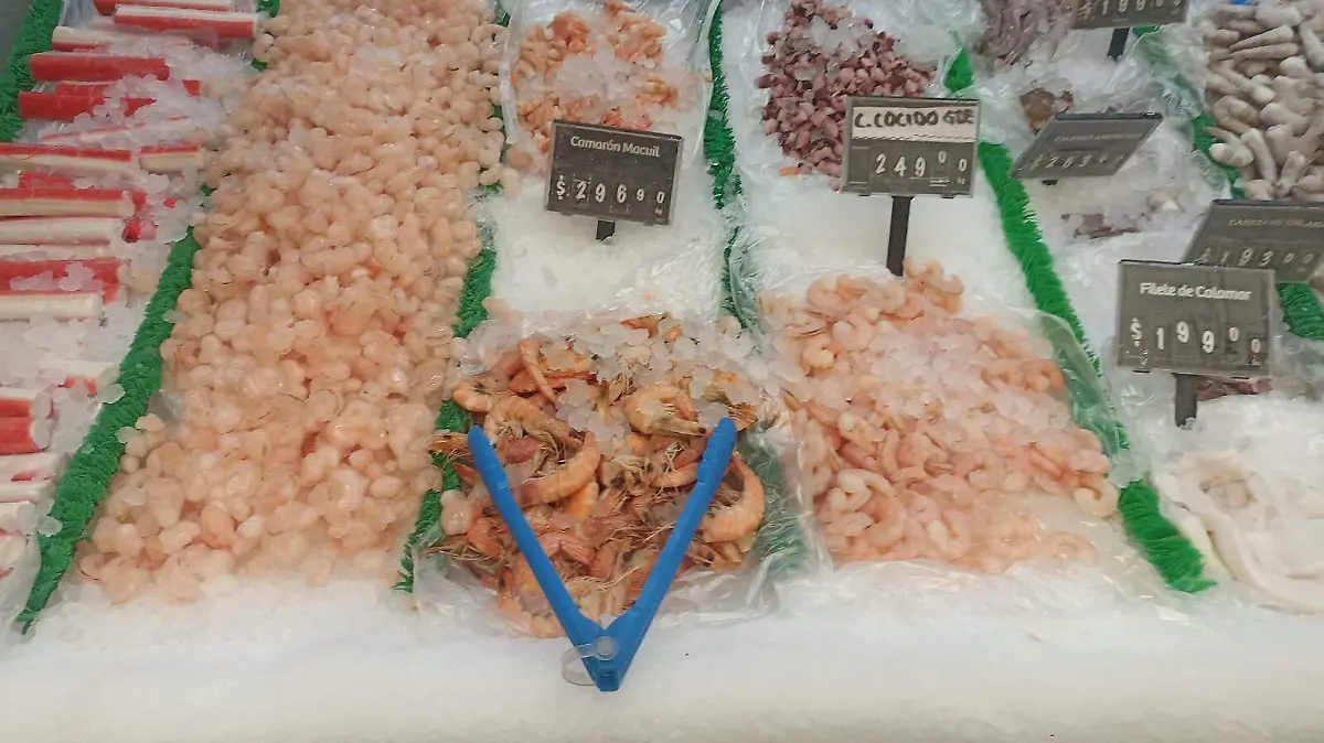 WhatsApp Image 2026-04-16 at 15.12.53