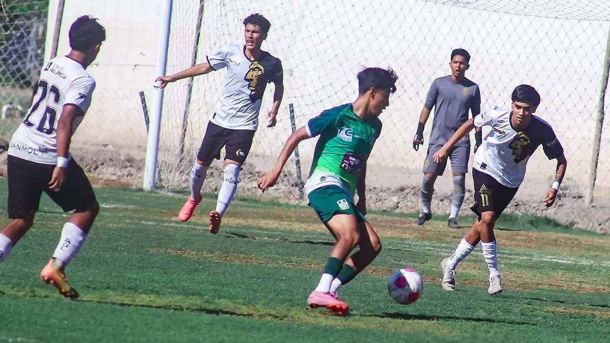 WhatsApp Image 2026-04-16 at 5.02.04 PM