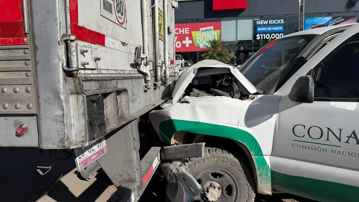 b6005e5f-dcff-4169-90fa-5618c2528139