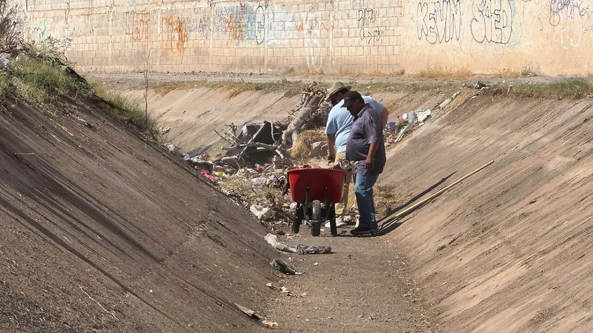 WhatsApp Image 2026-04-17 at 11.29.20