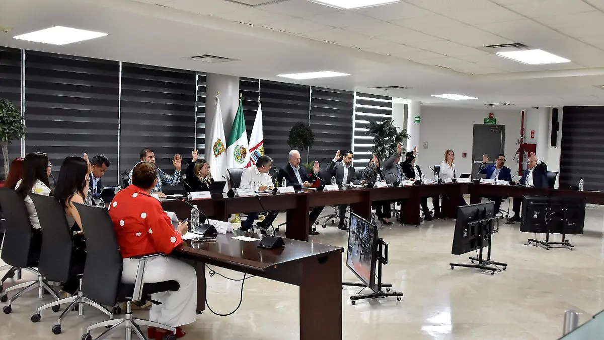 Aprueba el Cabildo apoyos en favor de la cultura y la protección animal