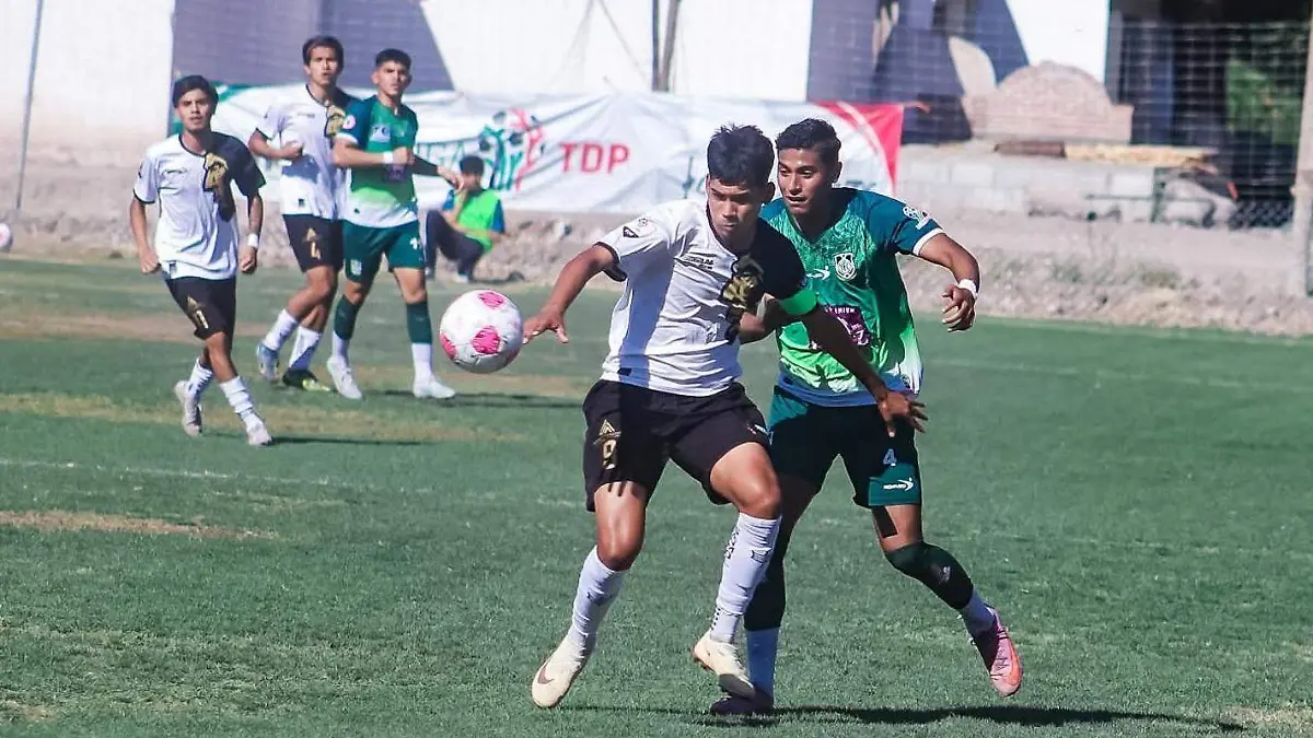 WhatsApp Image 2026-04-17 at 4.35.56 PM