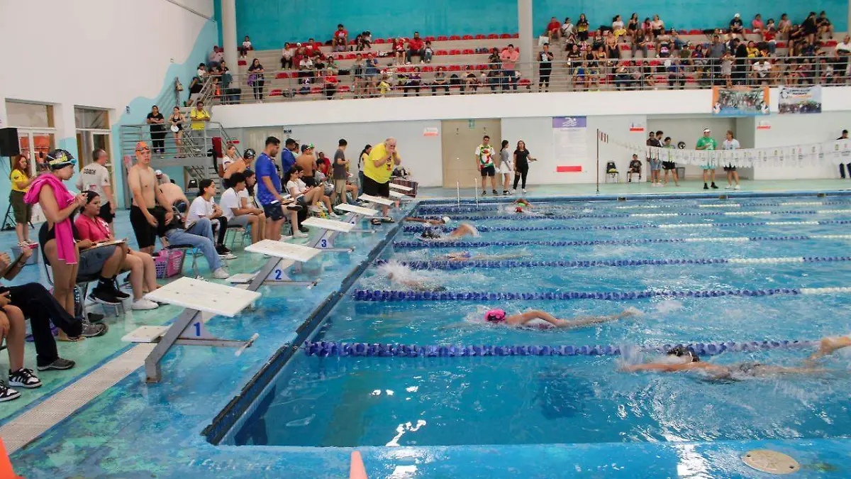 WhatsApp Image 2026-04-18 at 4.46.58 PM