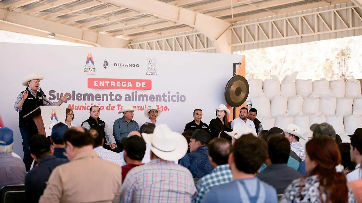 WhatsApp Image 2026-04-19 at 13.51.46