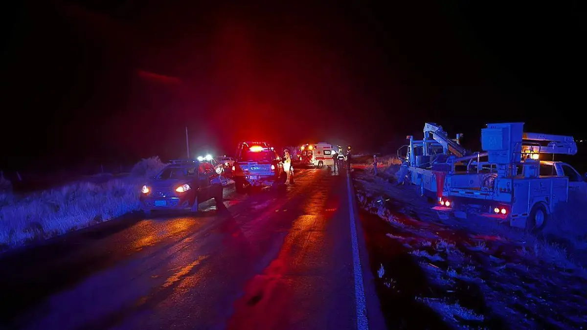 WhatsApp Image 2026-04-20 at 11.02.11