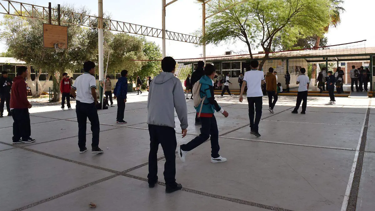 WhatsApp Image 2026-04-20 at 13.35.46