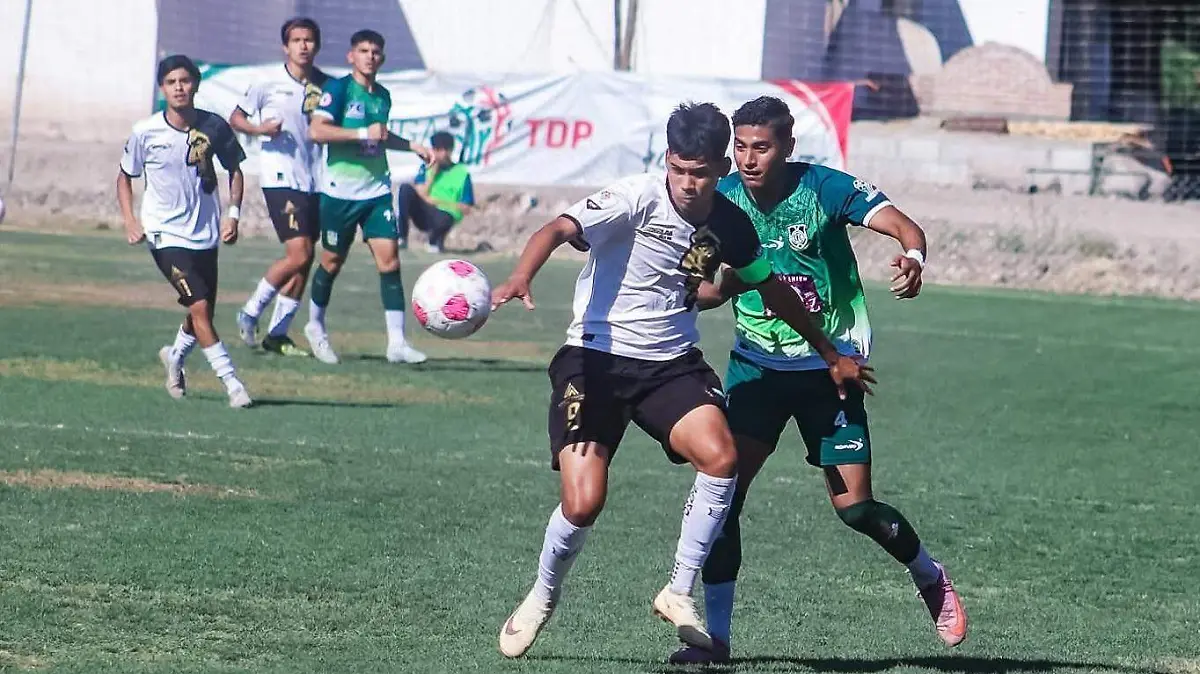 WhatsApp Image 2026-04-20 at 3.28.37 PM