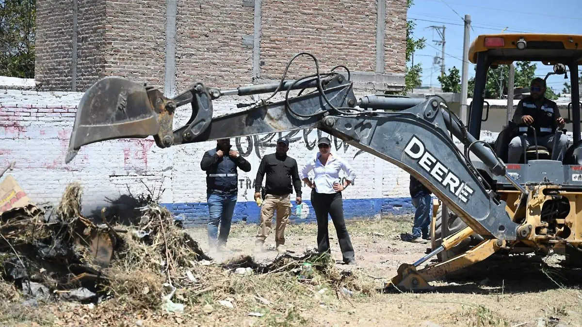 WhatsApp Image 2026-04-20 at 15.45.55