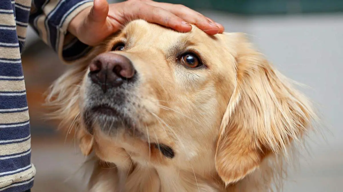 Medidas Portada CUE (42)