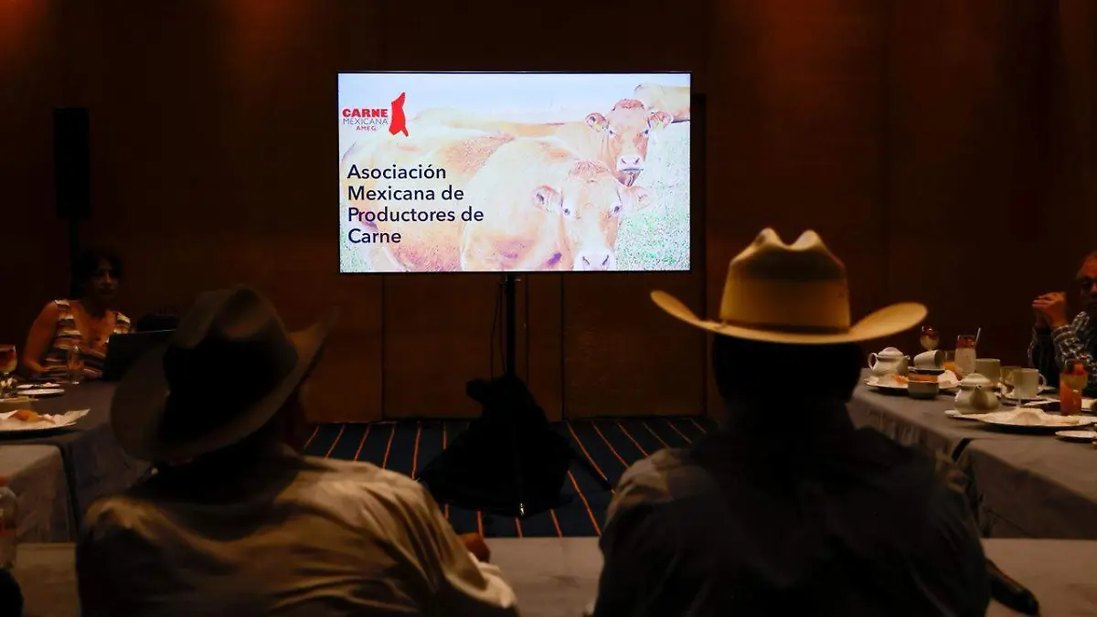 WhatsApp Image 2026-04-21 at 2.35.26 PM