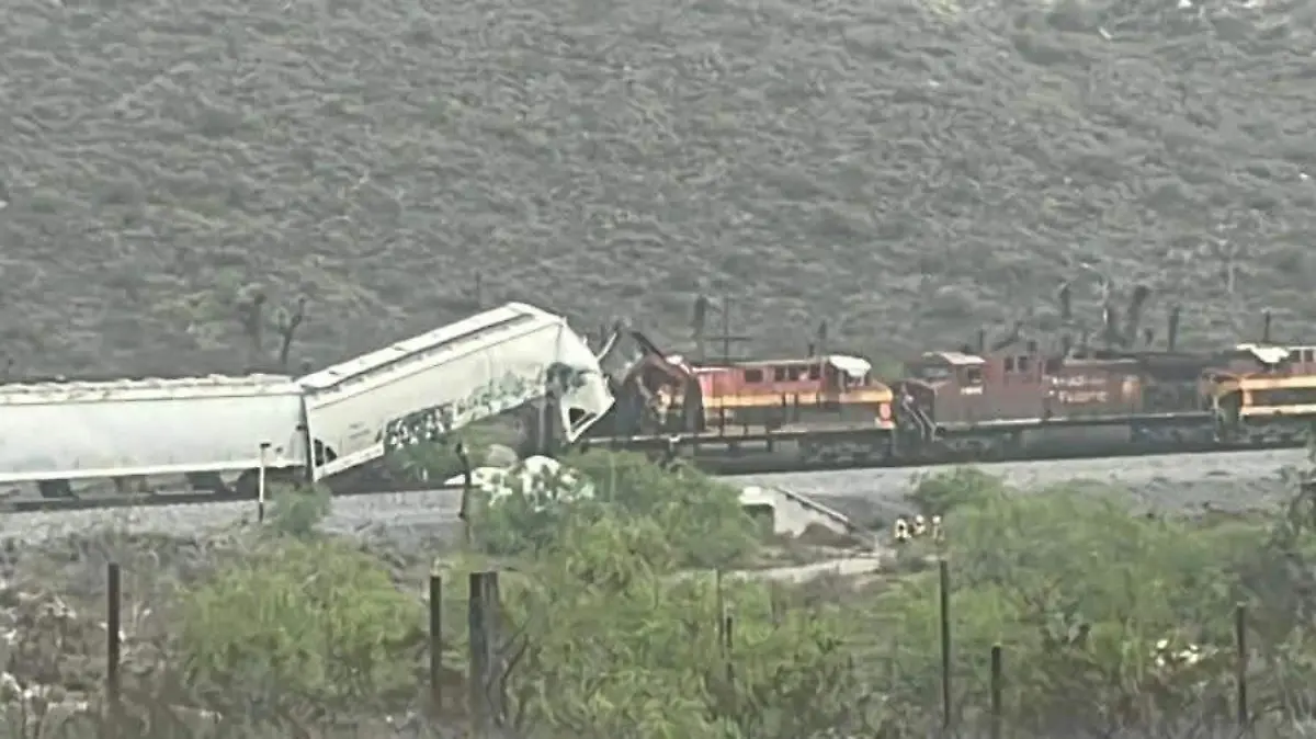 WhatsApp Image 2026-04-21 at 14.22.14