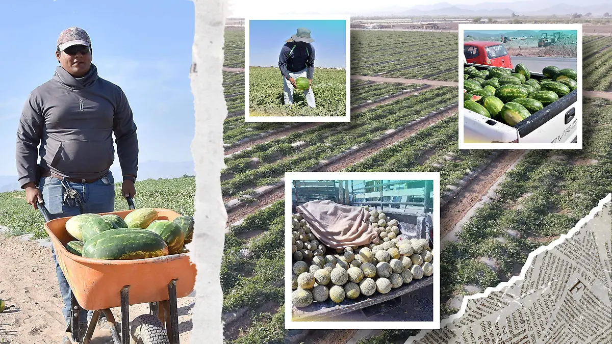 Medidas Portada CUE - 2026-04-22T113034.588