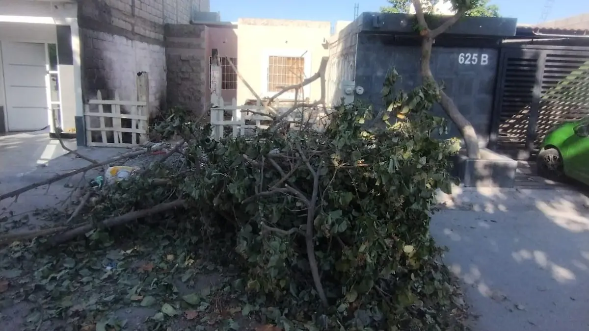 c2beb981-299d-41fb-995a-7a87f448402e