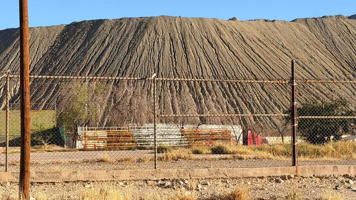 WhatsApp Image 2026-04-23 at 13.24.06