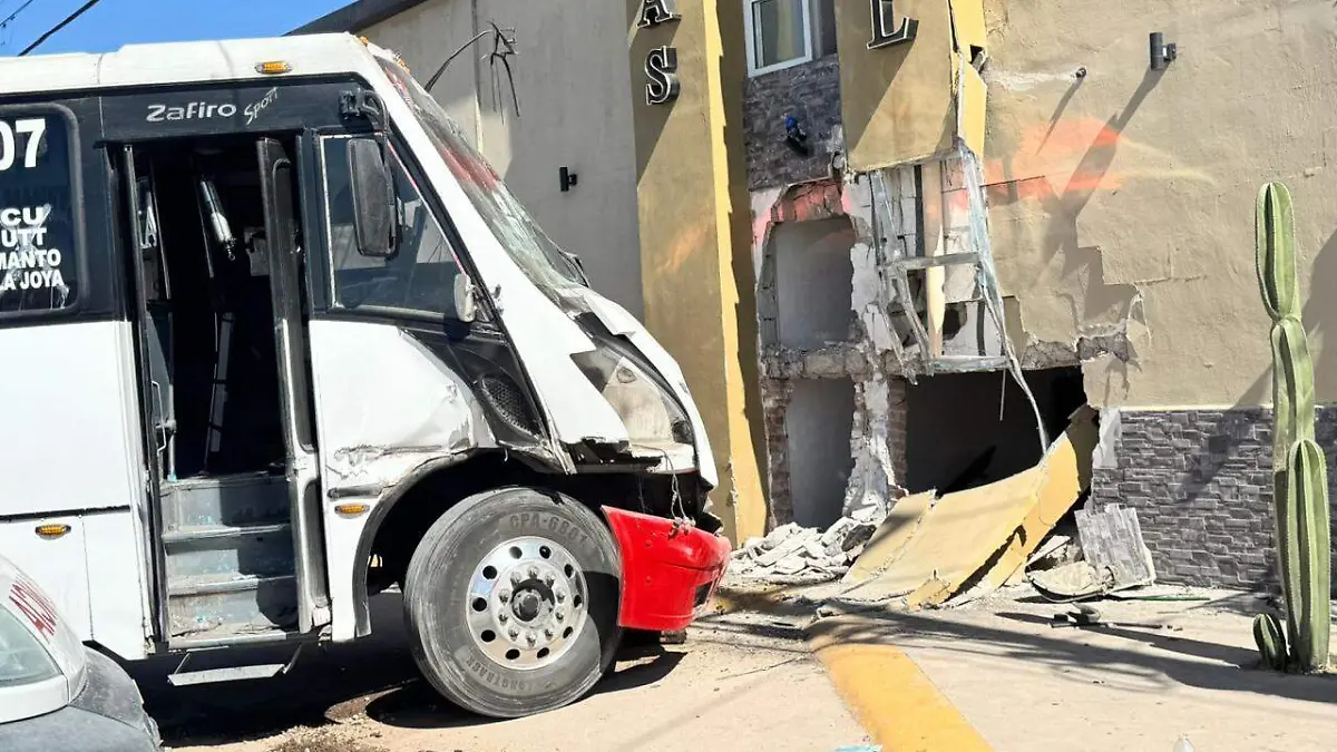 WhatsApp Image 2026-04-24 at 11.00.17