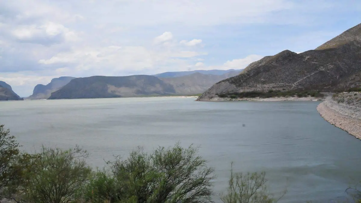 WhatsApp Image 2026-04-24 at 11.50.49