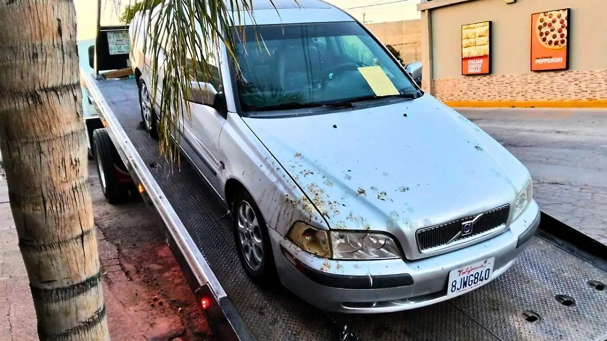 1cdc1eaa-bde1-4a73-8379-98c50b7b77ba