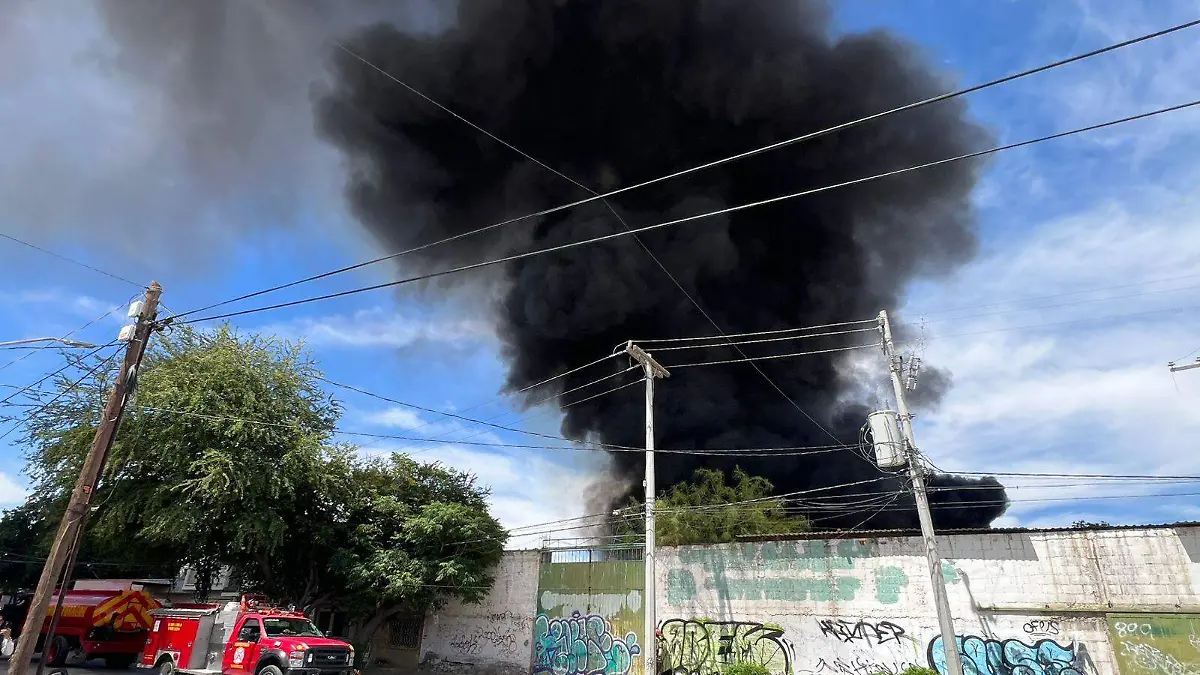 WhatsApp Image 2026-04-27 at 11.10.15 AM