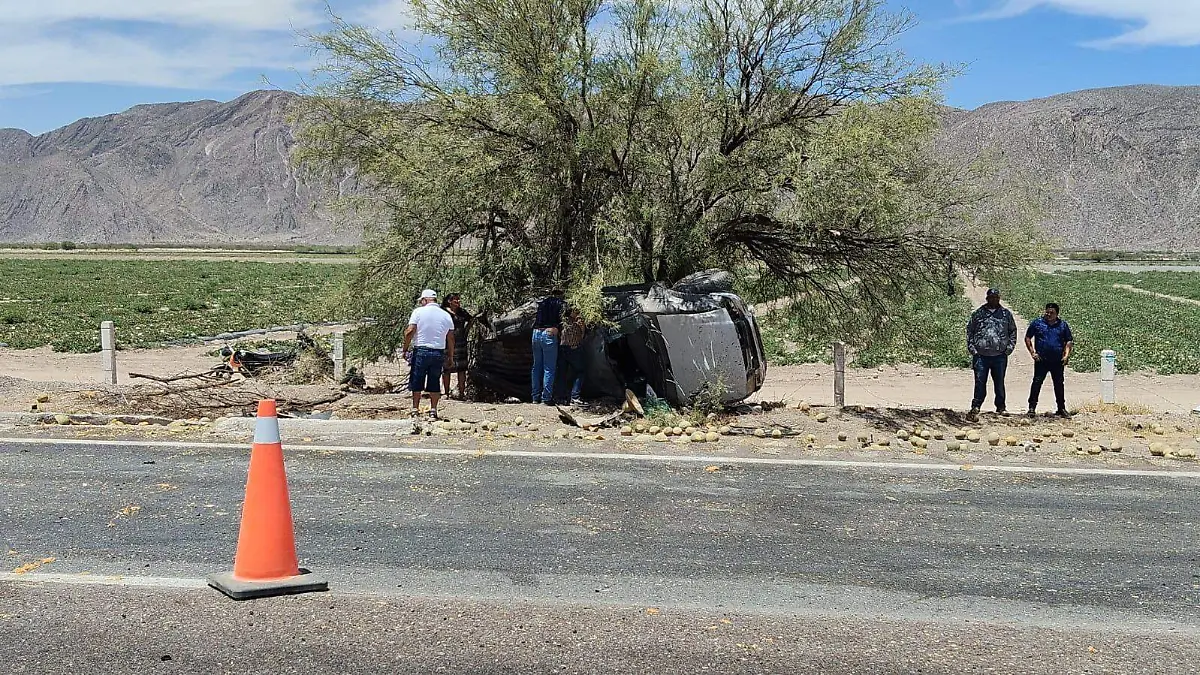 WhatsApp Image 2026-04-27 at 15.12.12