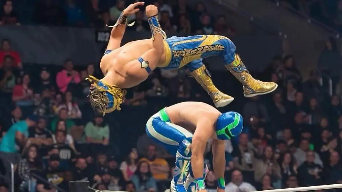 WhatsApp Image 2026-04-27 at 16.24.20