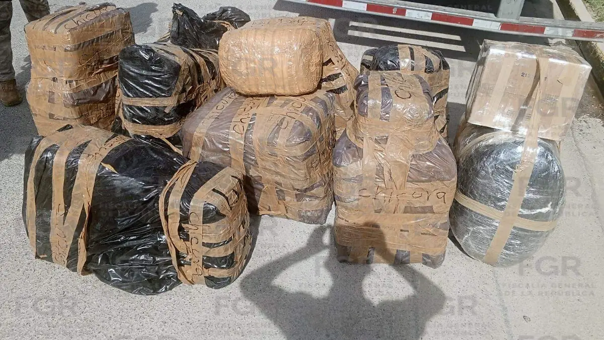 WhatsApp Image 2026-04-28 at 1.04.47 PM