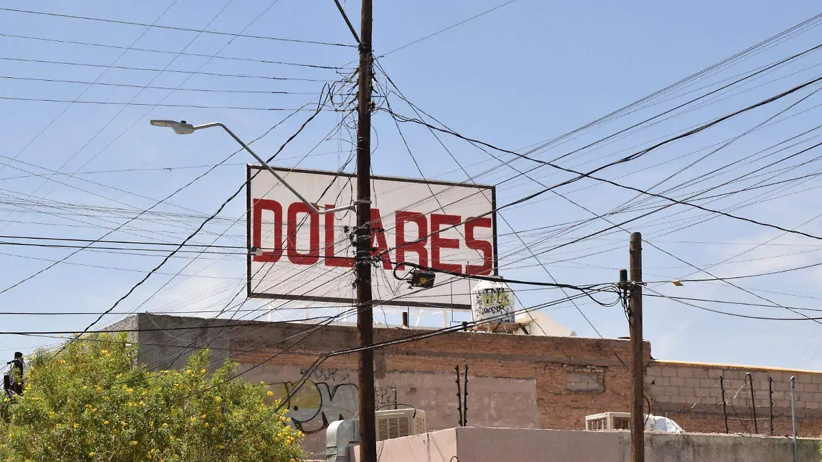 WhatsApp Image 2026-04-28 at 1.15.29 PM (2)