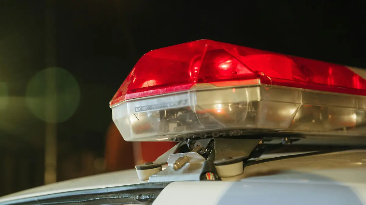 e8c15061-5f33-4436-a842-b8202ac37d3e