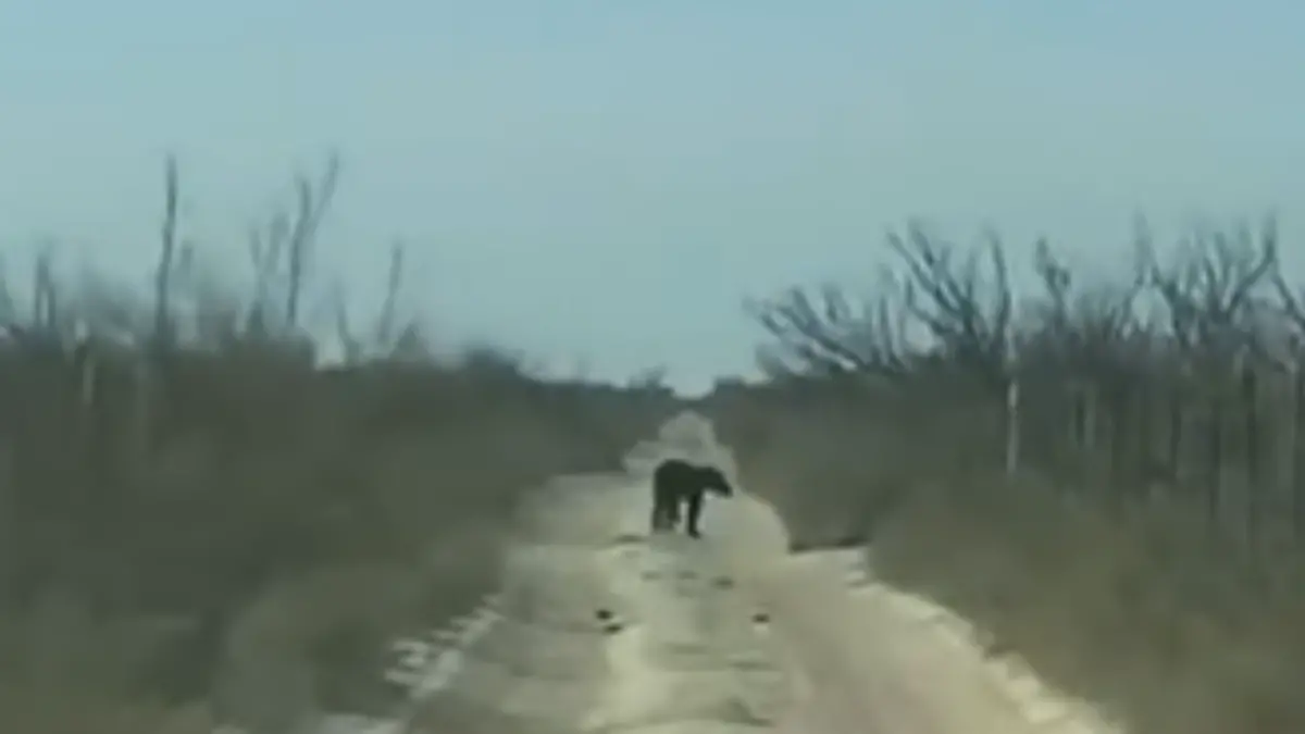 Medidas Portada CUE (2)