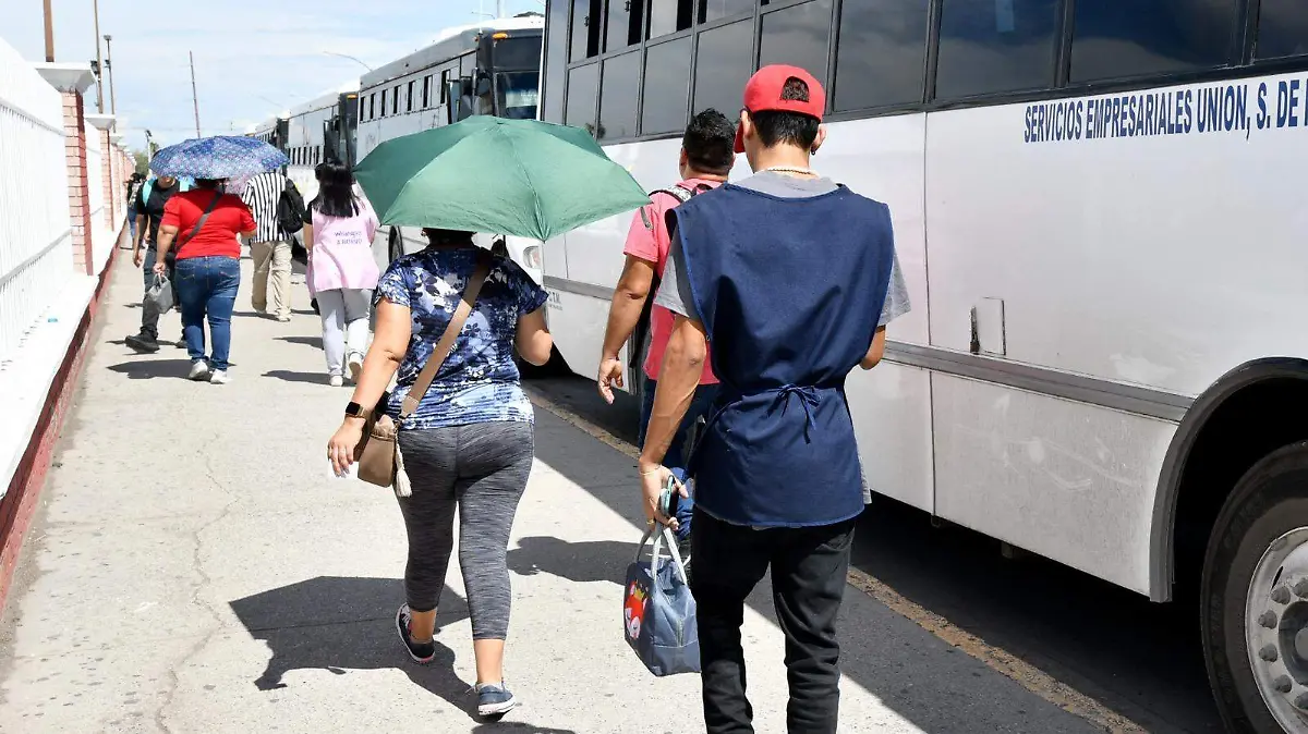 WhatsApp Image 2026-04-29 at 11.59.49