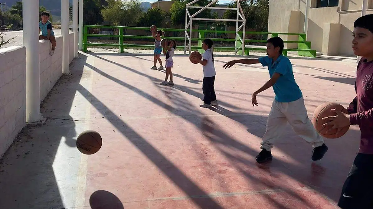 WhatsApp Image 2026-04-29 at 13.12.57 (1)