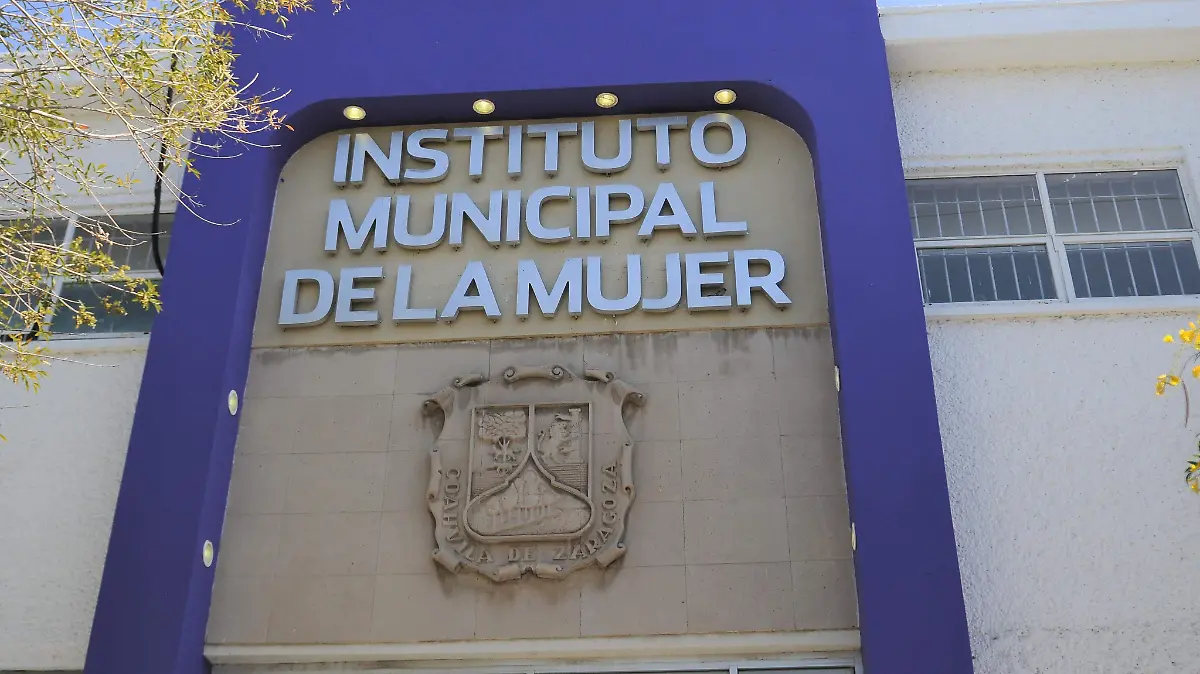 CAMPOS 6