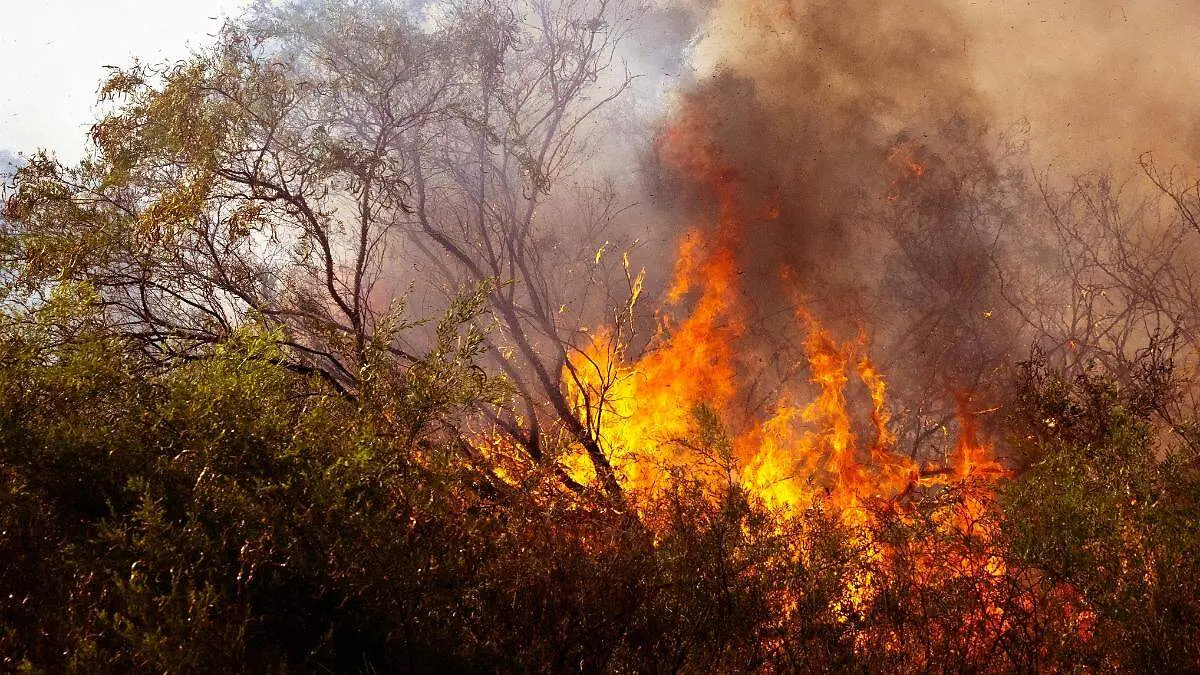 incendios