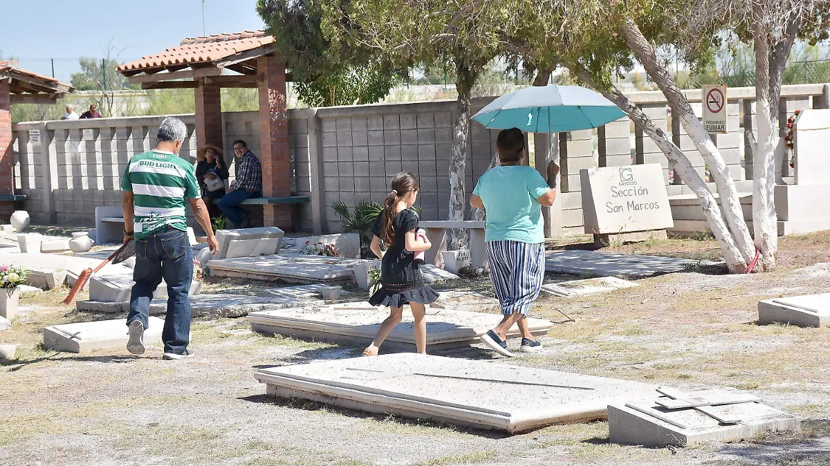 CAMPOS 2 (2)
