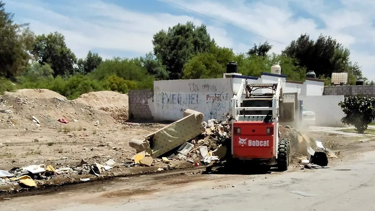 CAMPOS 5 (2)