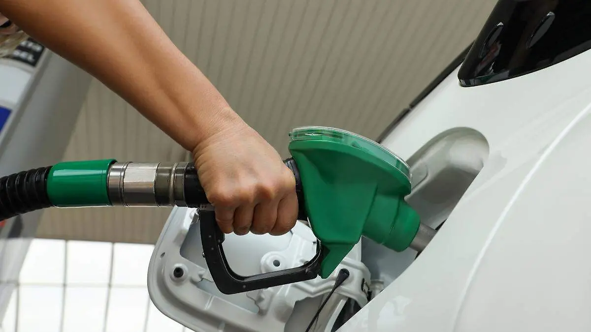 Gasolina