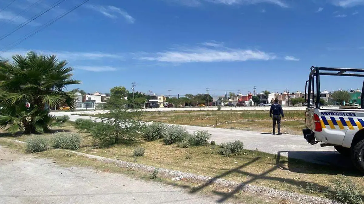 CAMPOS 6 