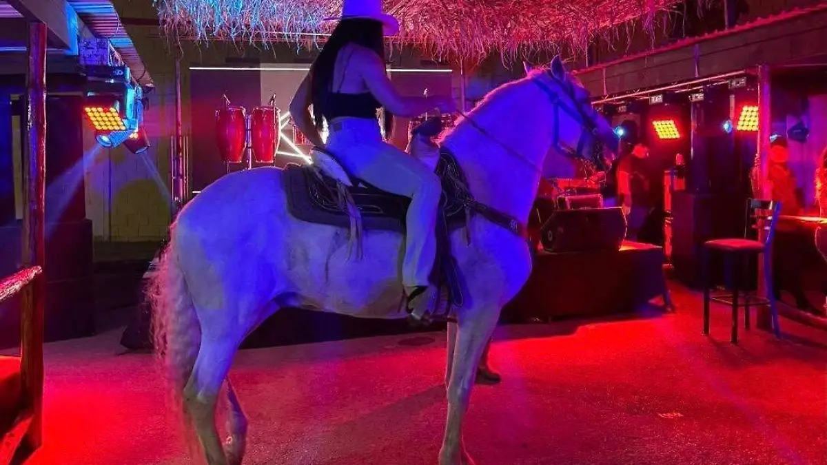 Fue sancionada ya la irregular presentación de un espectáculo con caballos en un restaurante de la localidad.  Foto Antonio Meléndez  El Sol de La Laguna