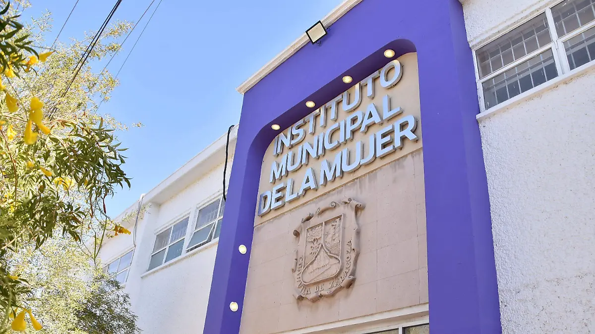CAMPOS 6