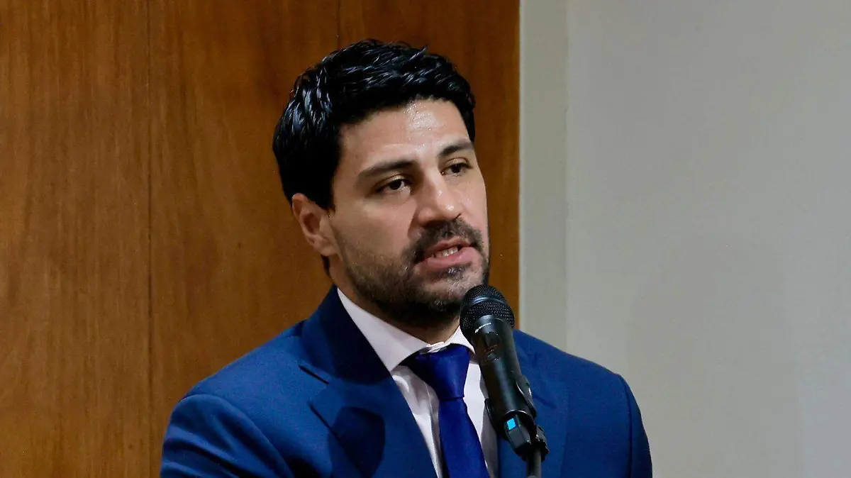 SERGIO 7