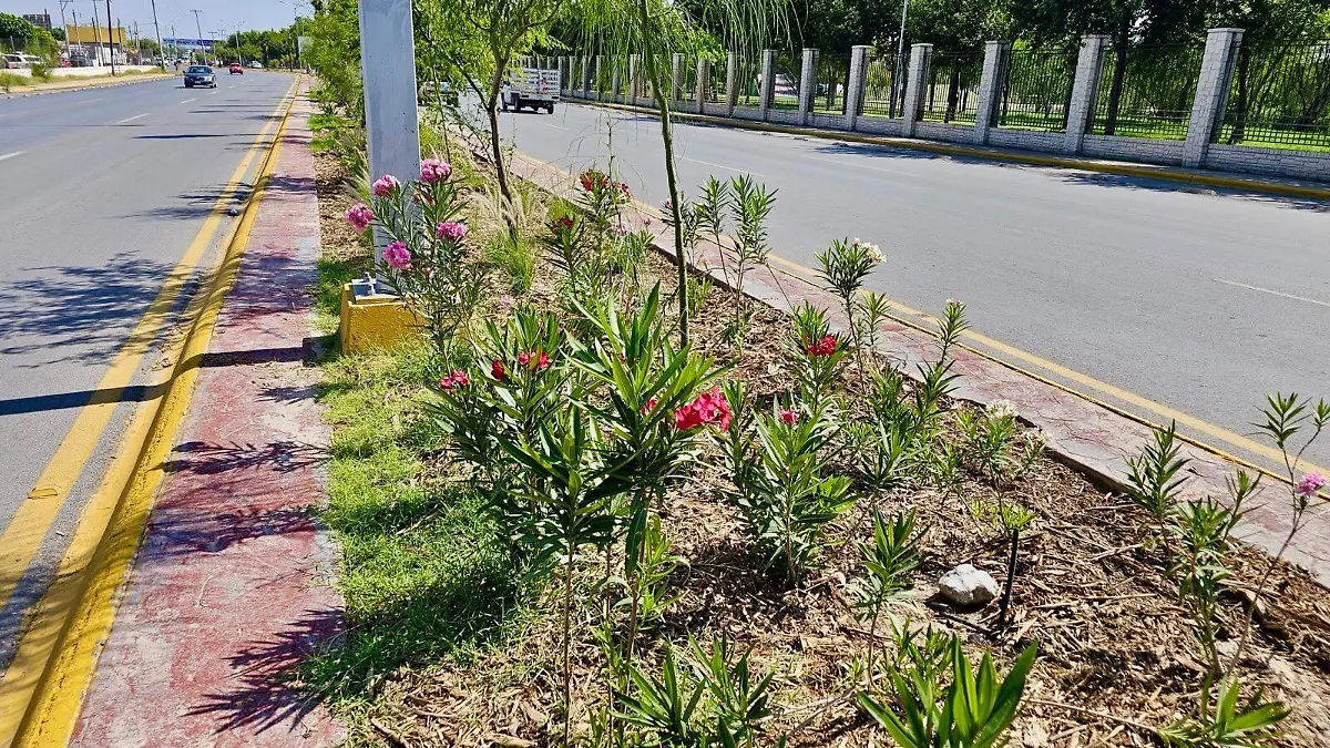 b2cfc8be-b939-4c5e-b1bd-74d20039d978