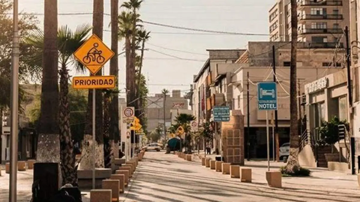 CAMPOS 7