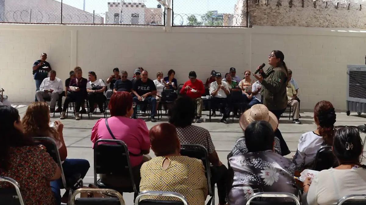 CAMPOS 5 (2)