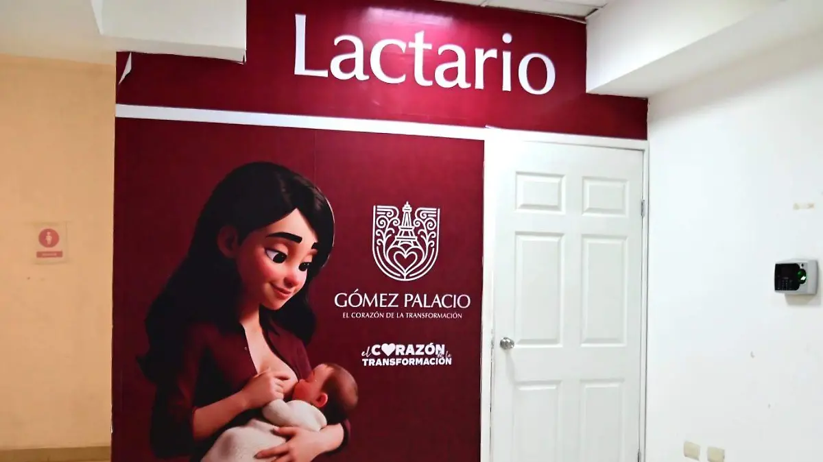 WhatsApp Image 2026-08-21 at 15.48.16
