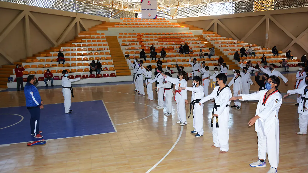 taekwondo